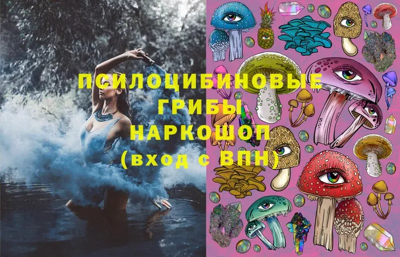 Псилоцибиновые грибы MAGIC MUSHROOMS  Кондрово 